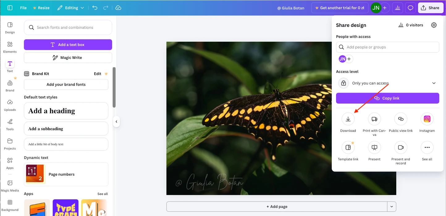 Canva Design-Plattform