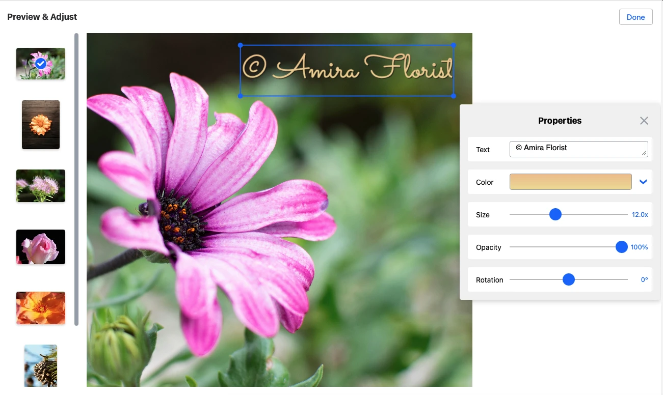 Watermarkly Online-Wasserzeichen-Tool